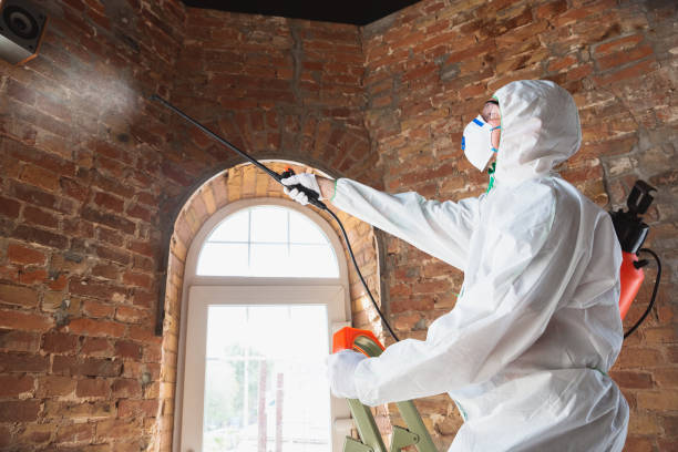 Best Biohazard Mold Removal  in USA